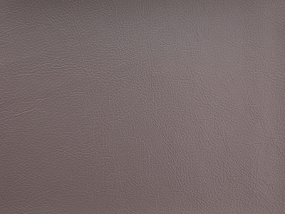 水性環(huán)保革